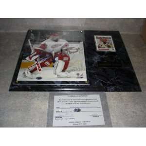 Dominik Hasek Autographed Detroit Red Wings Wall Plaque w/ COA