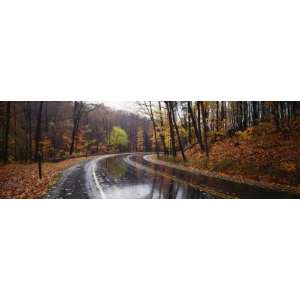  Rainy Road in Autumn, Euclid Creek, Parkway, Ohio, USA 