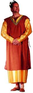 MEN PLUS SIZE MEDIEVAL KING ROYALTY COURT ADULT COSTUME  