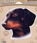 DACHSHUND DECAL OR BUMPER STICKER AWESOME GRAPHICS items in Art and 