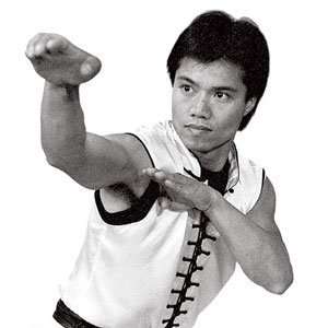 Master Tat Mau Wongs Choy Lay Fut Kung Fu Series Titles 