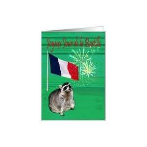   de raton laveur avec des feux dartifice et le drapeau français Card
