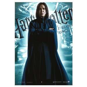  Harry Potter and the Half Blood Prince Movie Poster, 26.75 