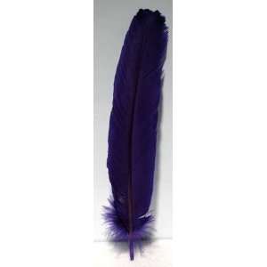   NEW Feather Purple   Spell Kits, Mixes and Aids Patio, Lawn & Garden