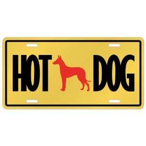  New  Ibizan Hound   Hot Dog  License Plate Dog