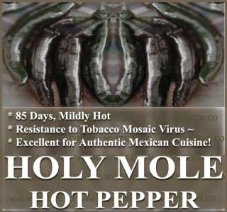 HOT PEPPER SEEDS   HOLY MOLE ~FOR SAUCE MEXICAN CUISINE  