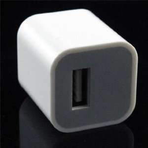  iPhone & iPod Compatible USB AC Adapter   20031108 