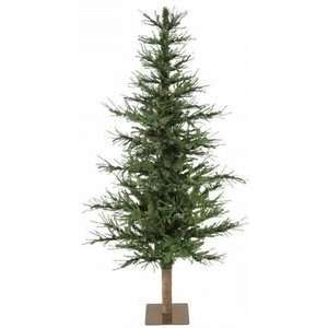    5 Untrimmed Jersey Pine Green Christmas Tree