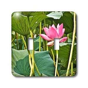 Boehm Photography Flower   Pink Lotus Blossom   Light Switch Covers 