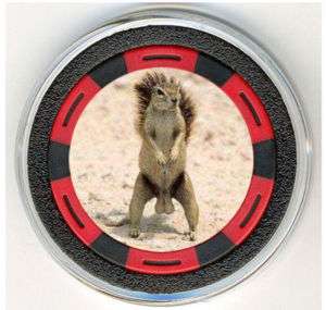 SQUIRREL LOVE MY NUTS FUNNY POKER CHIP CARD PROTECTOR  