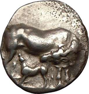 EUBOIA, KARYSTOS  350BC. Didrachm de plata. Gallo de becerro de la 