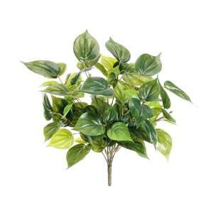  17 Philodendron Bush x12 Green (Pack of 6)