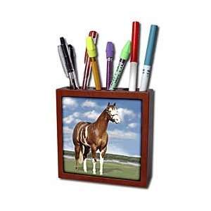 Horse   Champion Paint Quarter Horse   Tile Pen Holders 5 