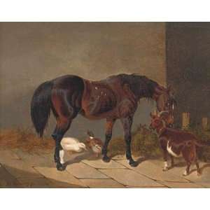   Senior   24 x 20 inches   A bay horse with a goat a