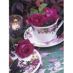  Table and Tableware Decorated with Roses Premium 