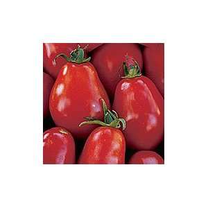  Ropreco Paste Tomato   1 oz. Patio, Lawn & Garden