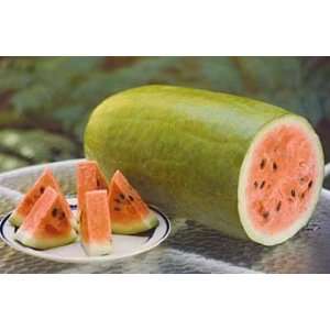  Watermelon Seeds   Charleston Grey HEIRLOOM (25 Seeds 